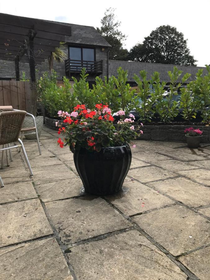 Smithaleigh Farm Rooms And Apartments Sparkwell Eksteriør bilde