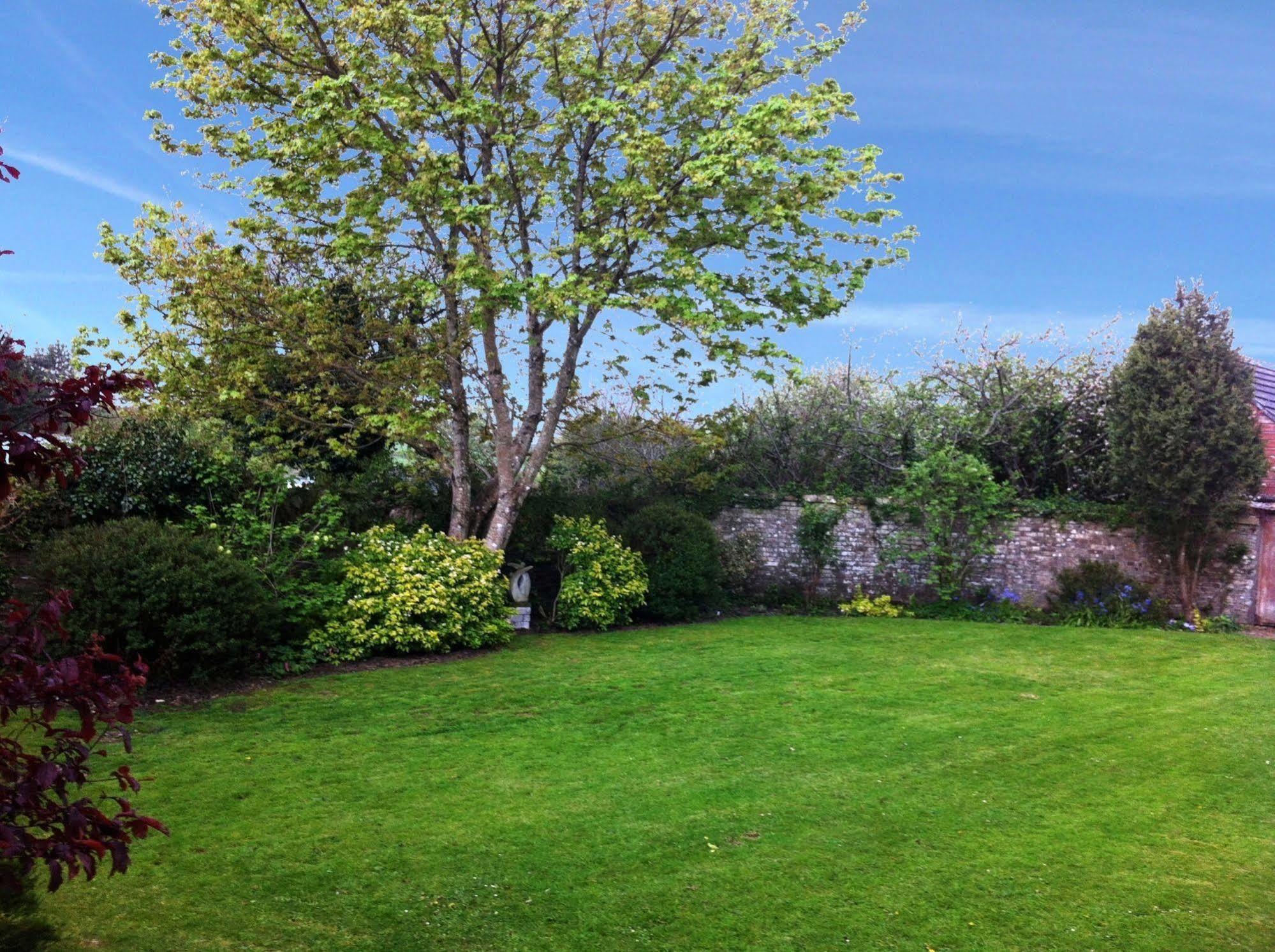 Smithaleigh Farm Rooms And Apartments Sparkwell Eksteriør bilde
